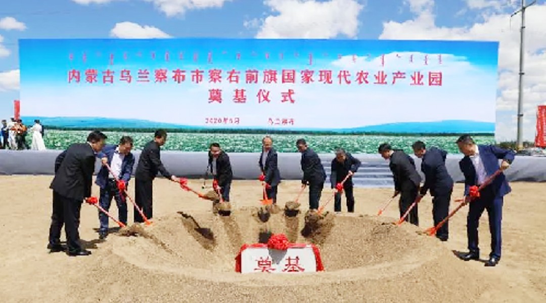 果蔬脆片OEM|VF薯?xiàng)l|法式薯?xiàng)l|薯?xiàng)l