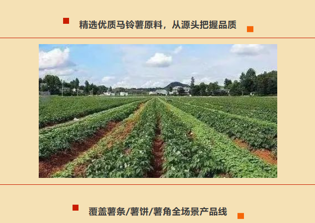 果蔬脆片OEM|VF薯條|法式薯條|薯條